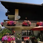 Cosmea In By Interhome Millstatt