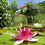 Cosmea In By Interhome Apartamento *