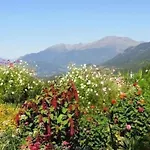 Cosmea In By Interhome Millstatt