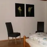 Cosmea In By Interhome *