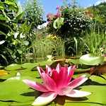 Cosmea In By Interhome Apartamento *