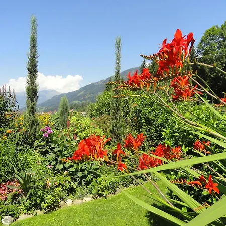 Cosmea In By Interhome Apartamento Millstatt