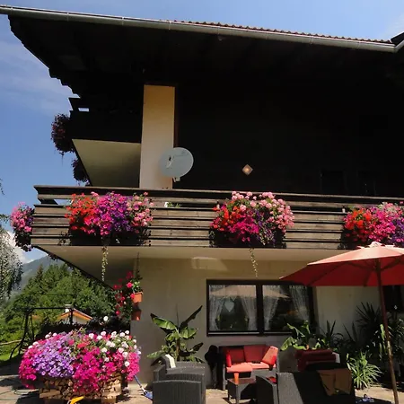 Cosmea In By Interhome Millstatt