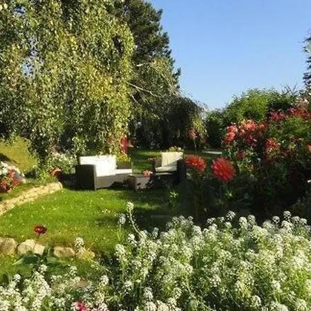 Cosmea In By Interhome Apartment