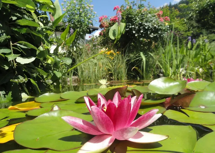 Cosmea In Millstatt By Interhome Apartament *