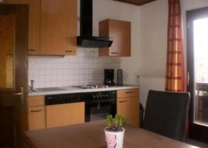 Cosmea In Millstatt By Interhome Apartament